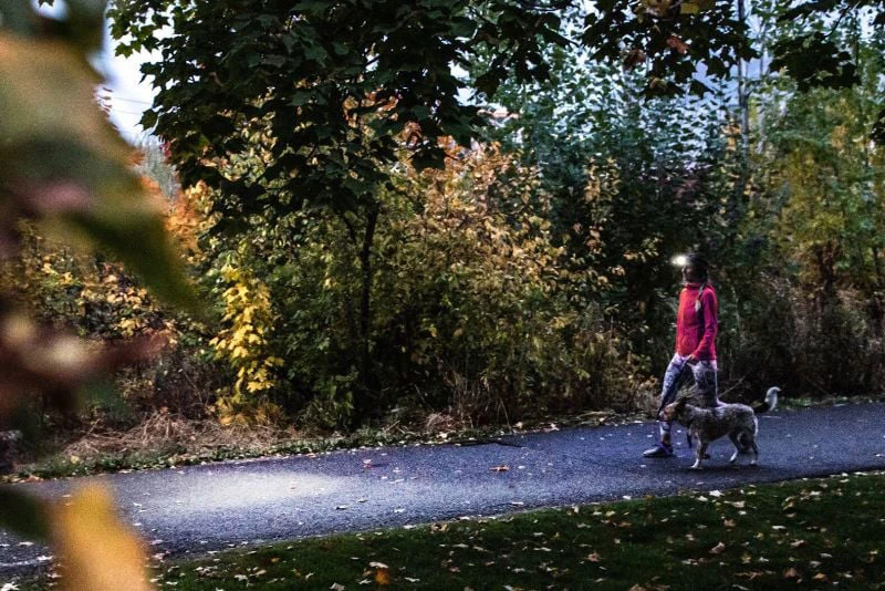 Ledlenser Headlamp HF4R Core - Image 9