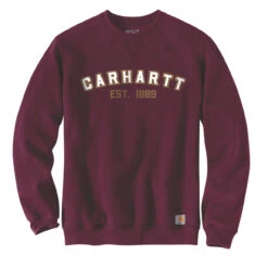 Carhartt CREWNECK LOGO GRAPHIC SWEATSHIRT Port