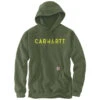 Carhartt RAIN DEFENDER MIDWEIGHT LOGO GRAPHIC HOODIE Chive