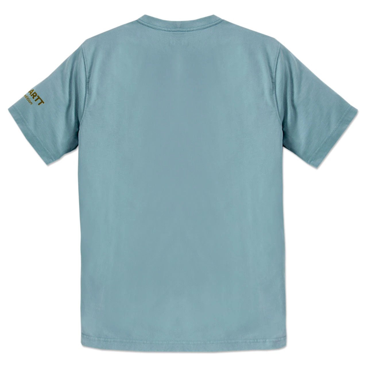 Carhartt LIGHTWEIGHT HAMILTON GRAPHIC T-SHIRT Summer Blue - Image 3